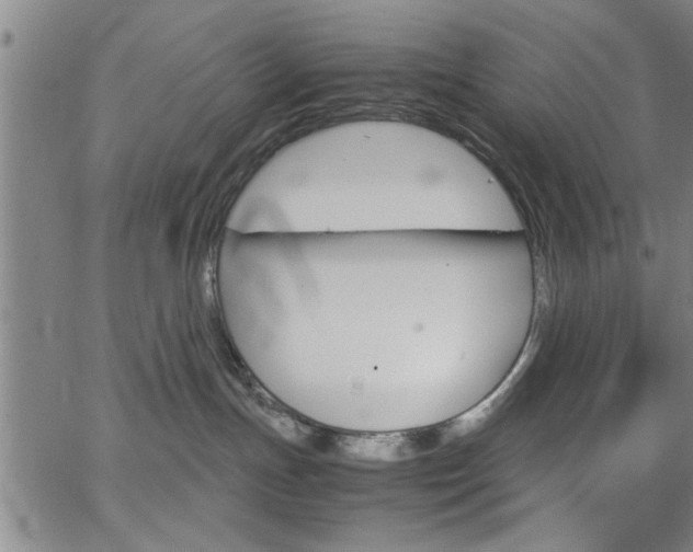 X0000067520191200604071033