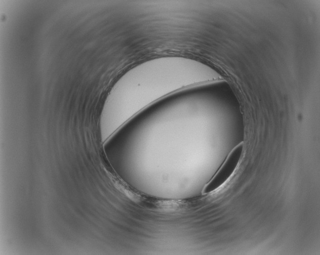 X0000067520192200604071033