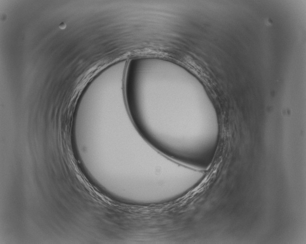 X0000067520193200604071033