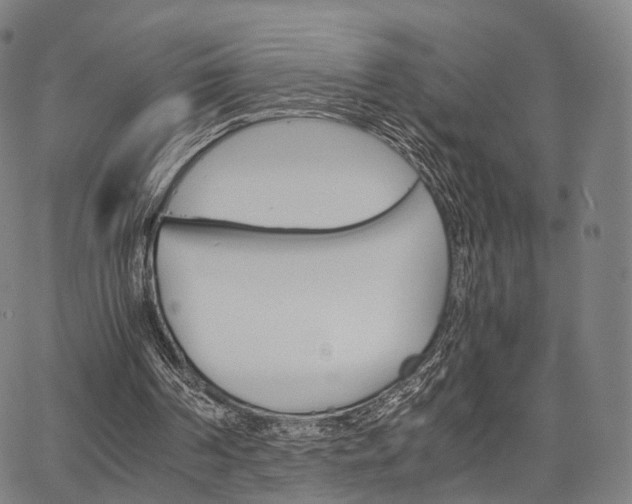 X0000067520194200604071033