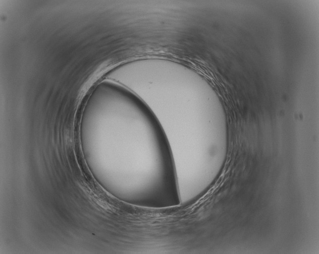 X0000067520195200604071033