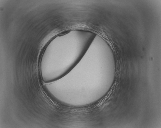 X0000067520196200604071032