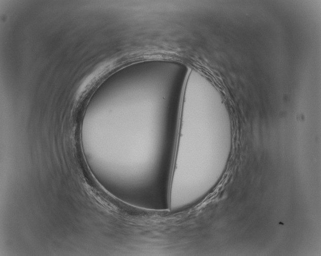 X0000067520197200604071032