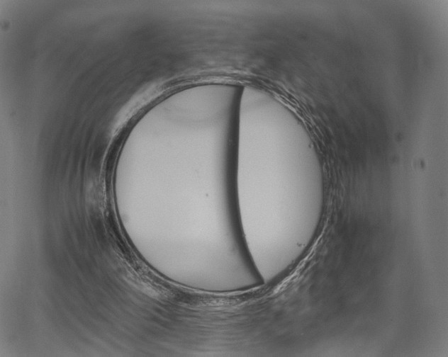 X0000067520198200604071032