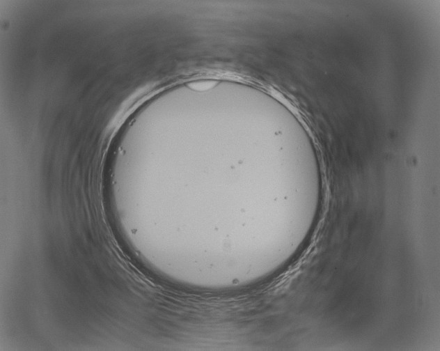 X0000067520199200604071032