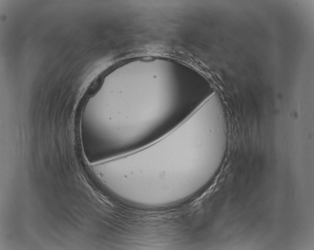 X0000067520200200604071032