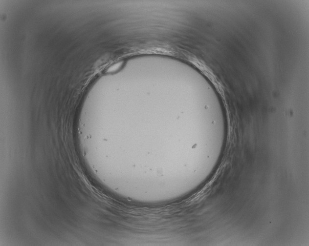 X0000067520201200604071032