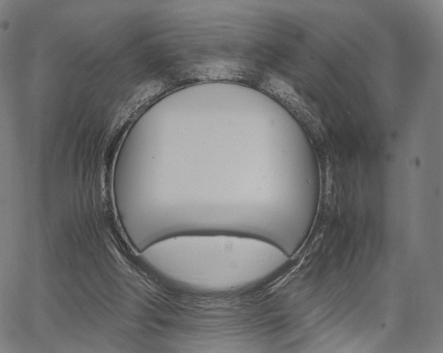 X0000067520202200604071032