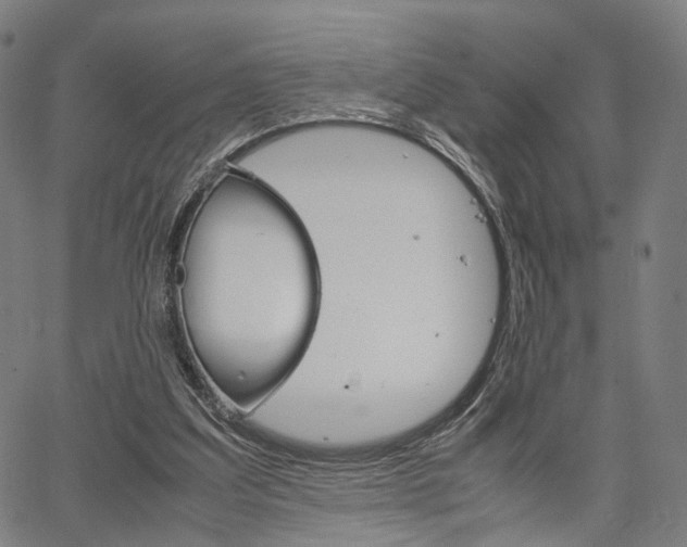 X0000067520203200604071032