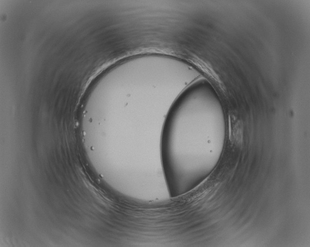 X0000067520204200604071032