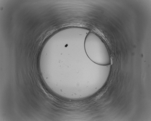 X0000067520205200604071032