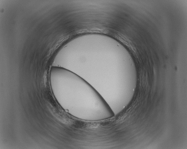 X0000067520206200604071032