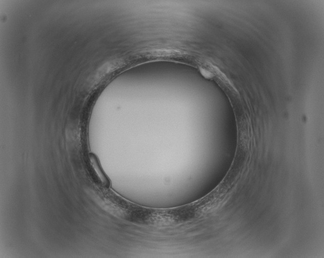 X0000067520207200604071032