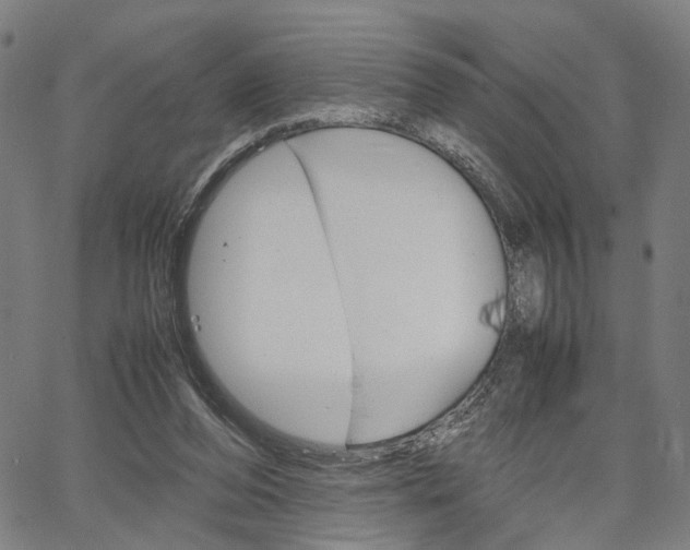 X0000067520208200604071032