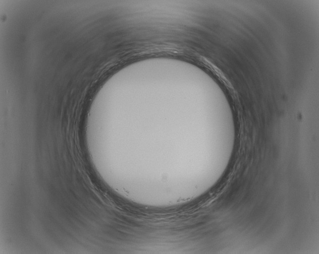 X0000067520209200604071032