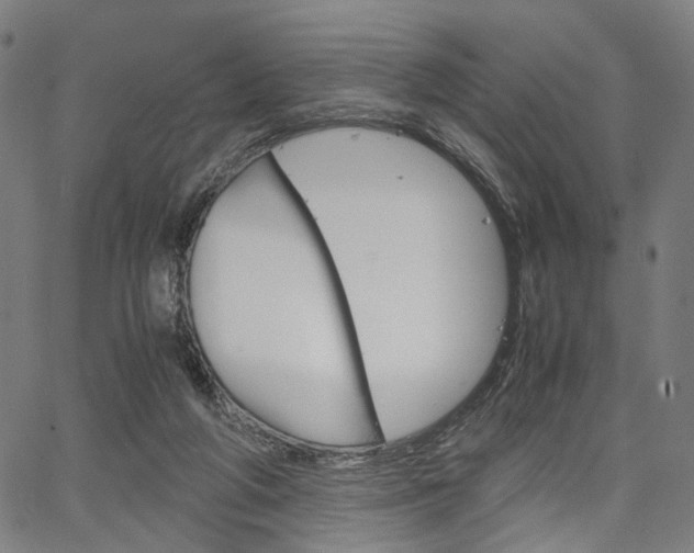 X0000067520210200604071032