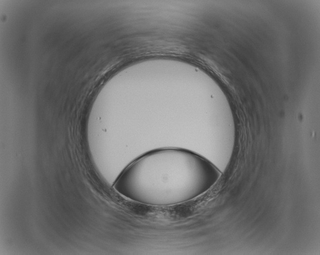 X0000067520211200604071032