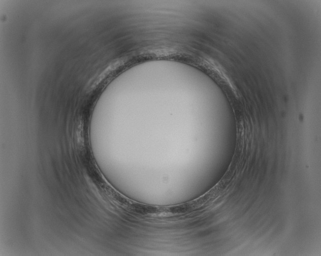 X0000067520212200604071032