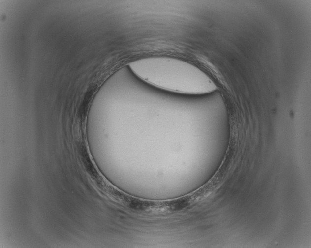 X0000067520213200604071032