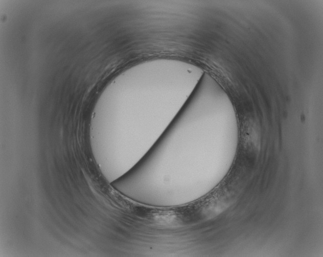 X0000067520214200604071032