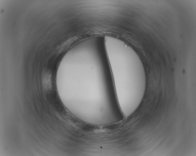 X0000067520216200604071032