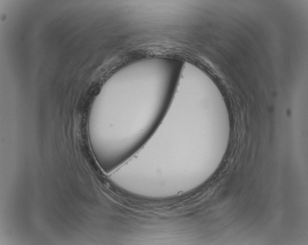 X0000067520217200604071032