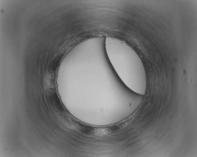 X0000067520218200604071032