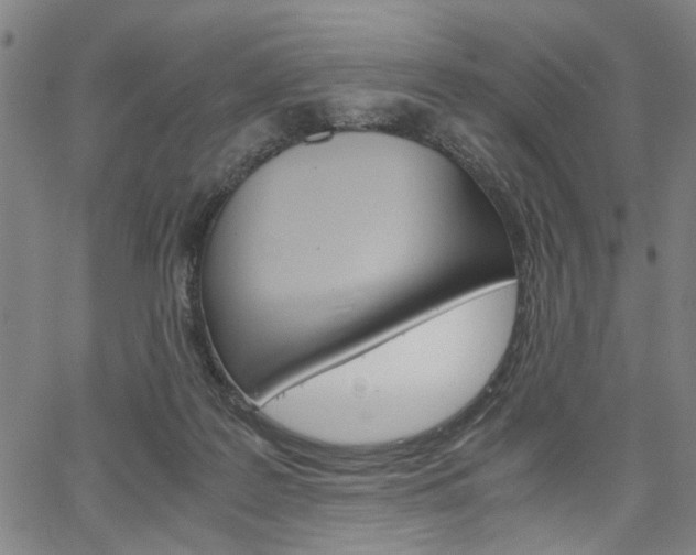 X0000067520219200604071032