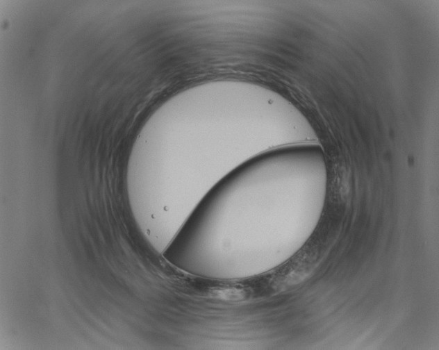 X0000067520220200604071032