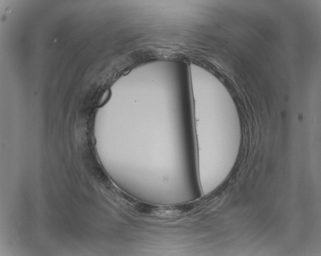 X0000067520221200604071032