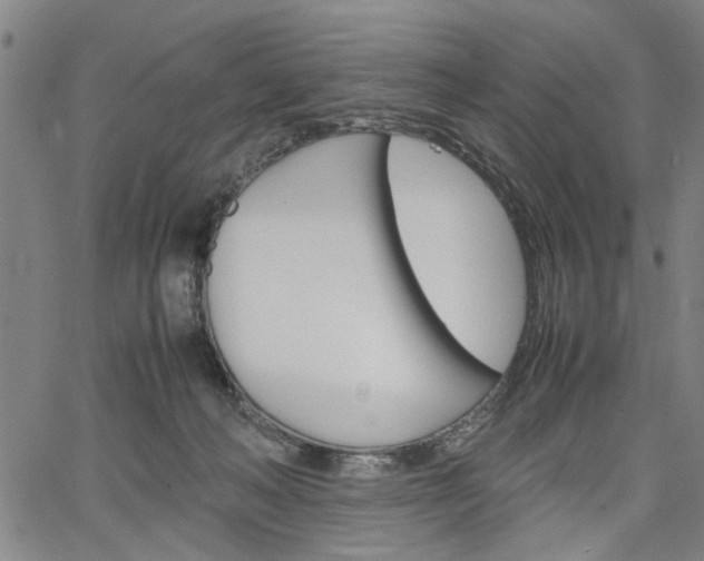 X0000067520222200604071032