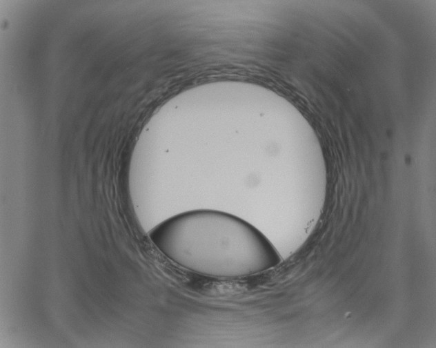 X0000067520223200604071032