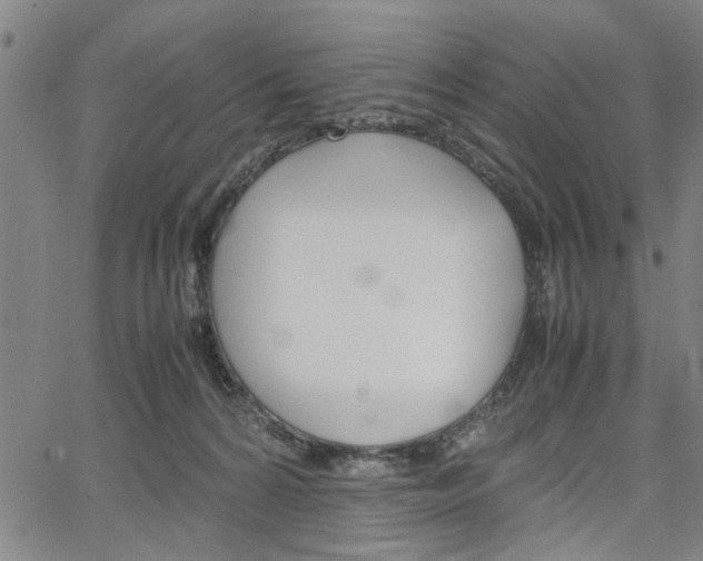 X0000067520224200604071032