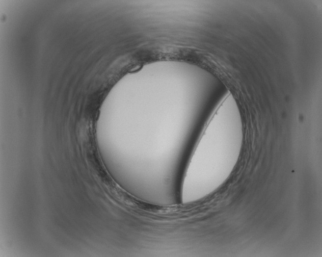 X0000067520225200604071032