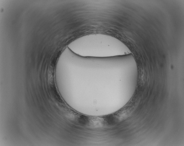 X0000067520226200604071032