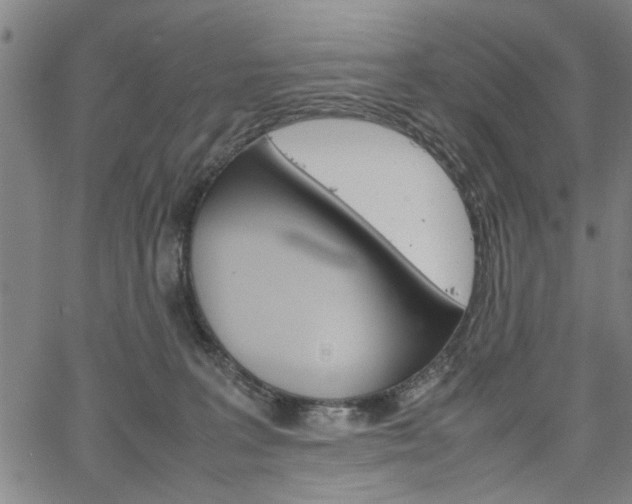 X0000067520227200604071032