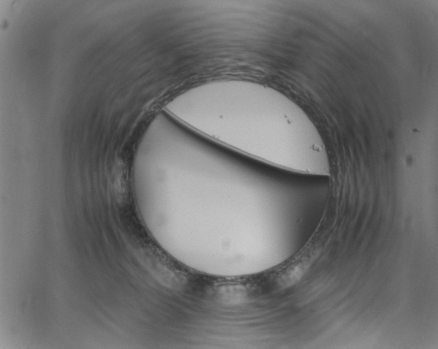 X0000067520228200604071032