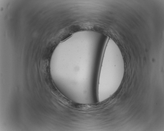 X0000067520229200604071032