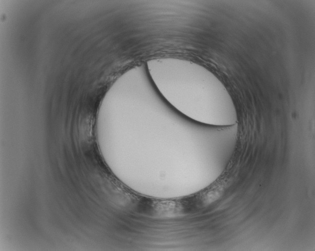 X0000067520230200604071032