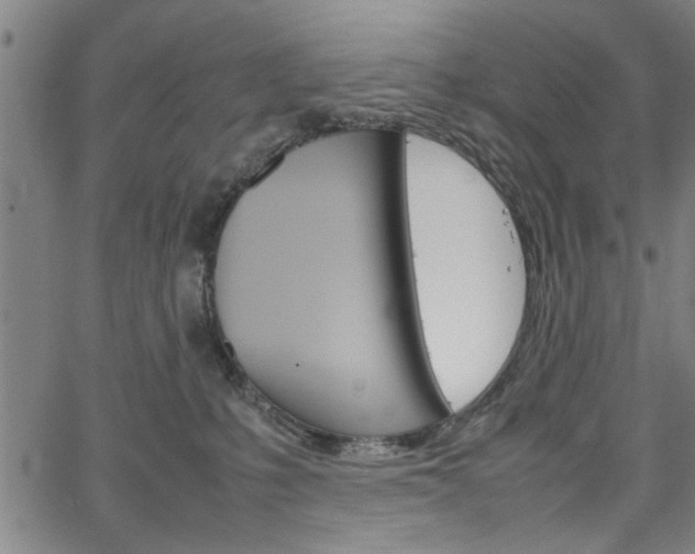 X0000067520231200604071032