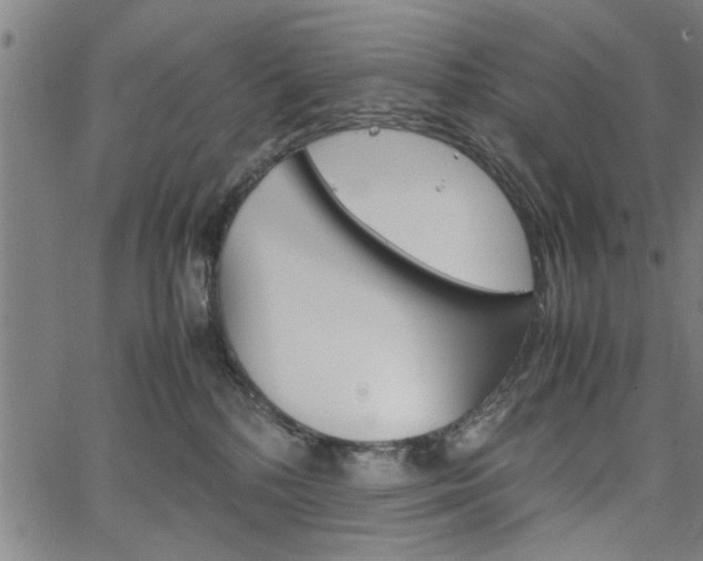 X0000067520232200604071032