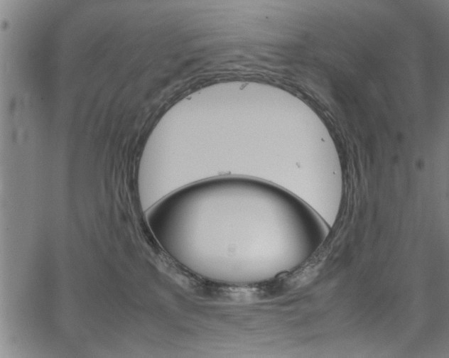 X0000067520233200604071032