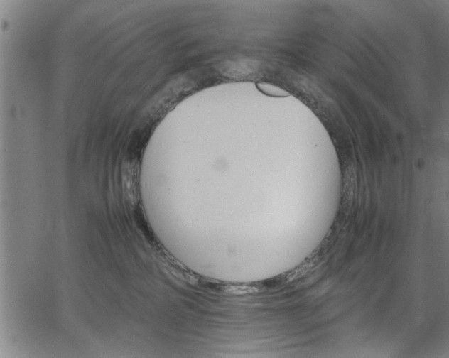 X0000067520234200604071032