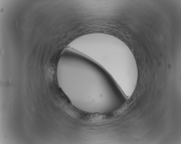 X0000067520235200604071032