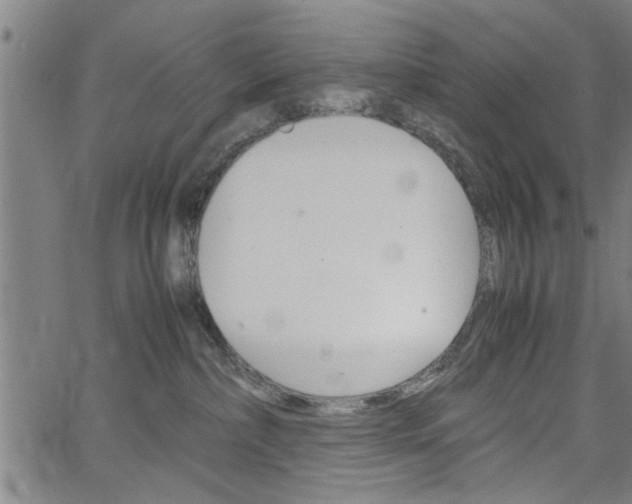 X0000067520236200604071032