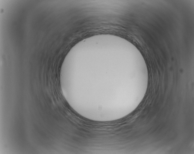 X0000067520237200604071032