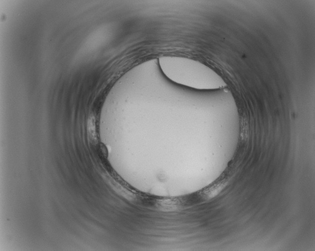 X0000067520238200604071032