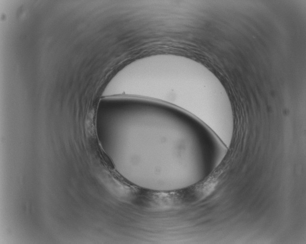 X0000067520239200604071032