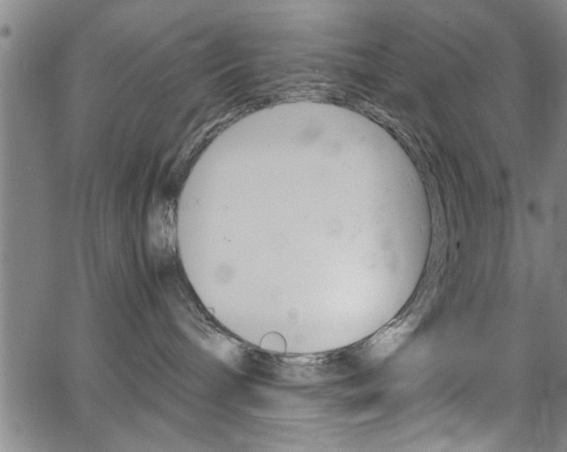 X0000067520240200604071032