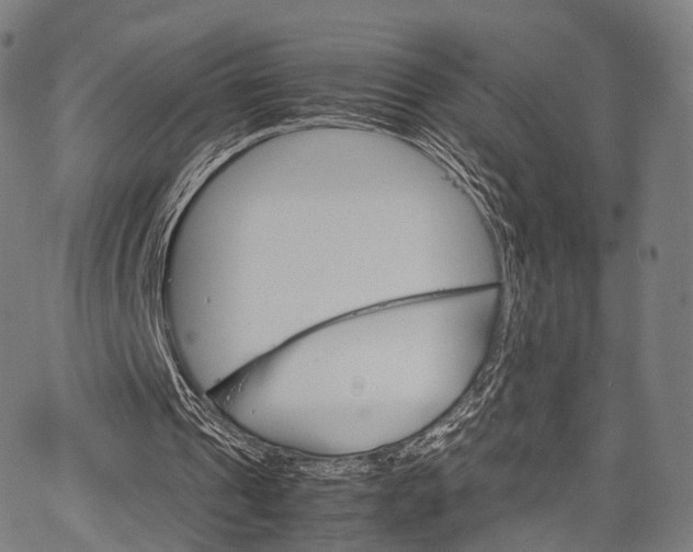 X0000067520241200604071031